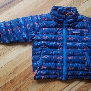 Patagonia Jacket